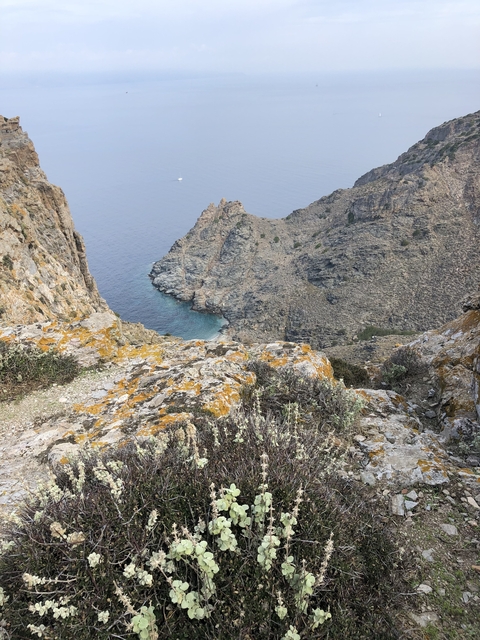 Rocky cliffs descending into a serene sea with lichen-covered rocks.