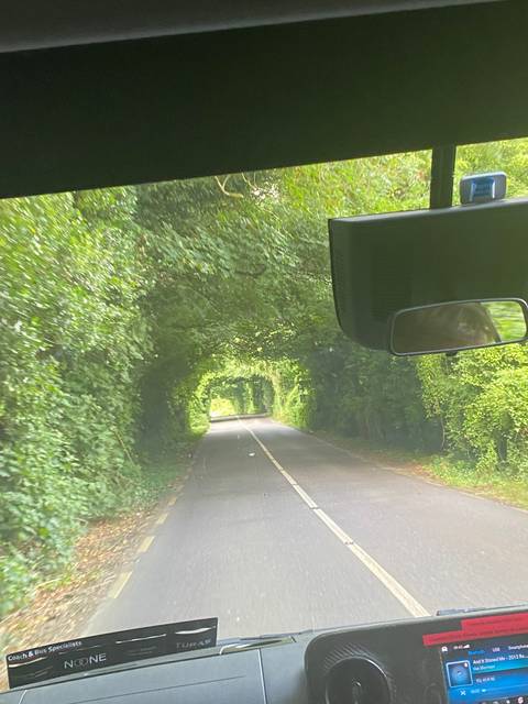 View from inside a vehicle on a narrow road surrounded by dense greenery.