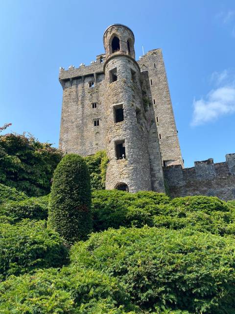 Old stone castle partly covered by greenery.