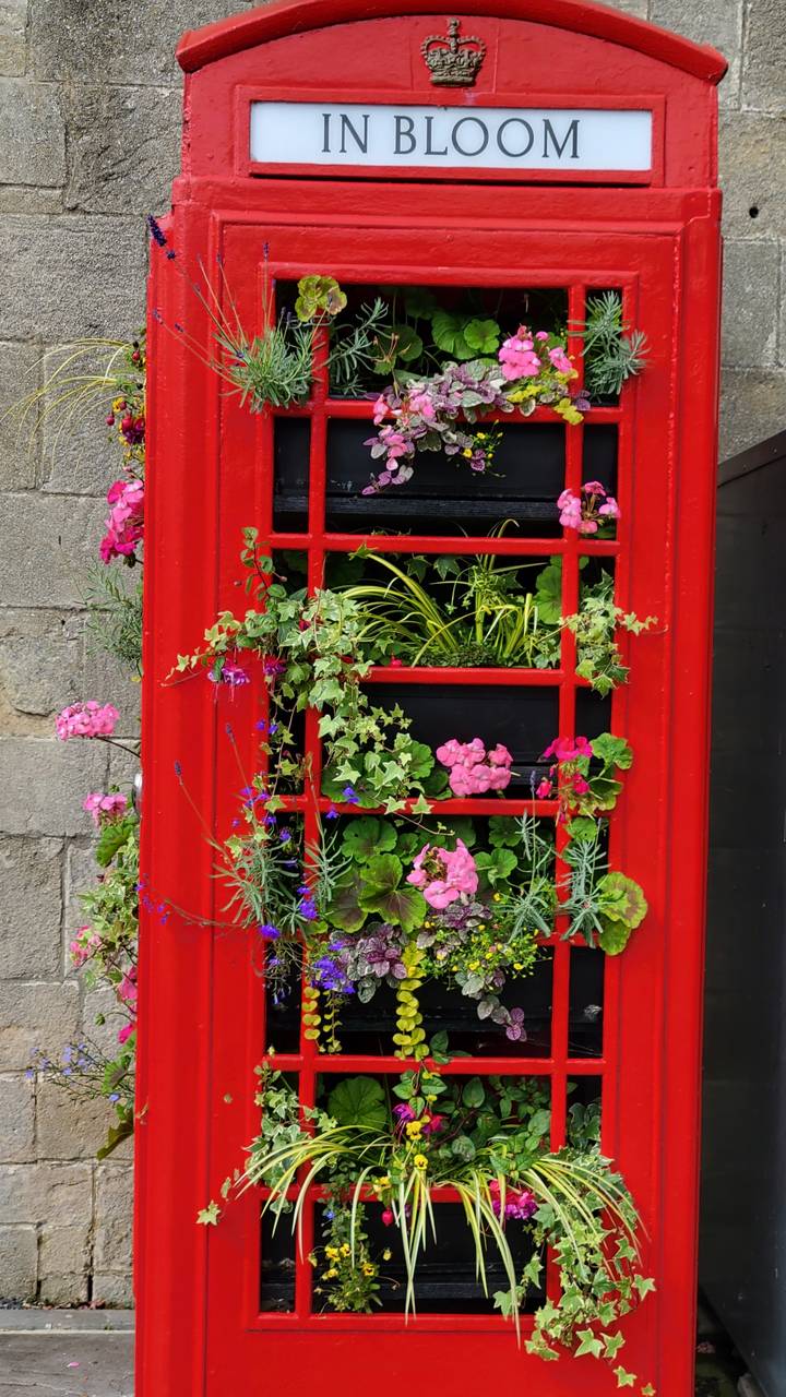 Cabine téléphonique rouge reconvertie en étalage floral