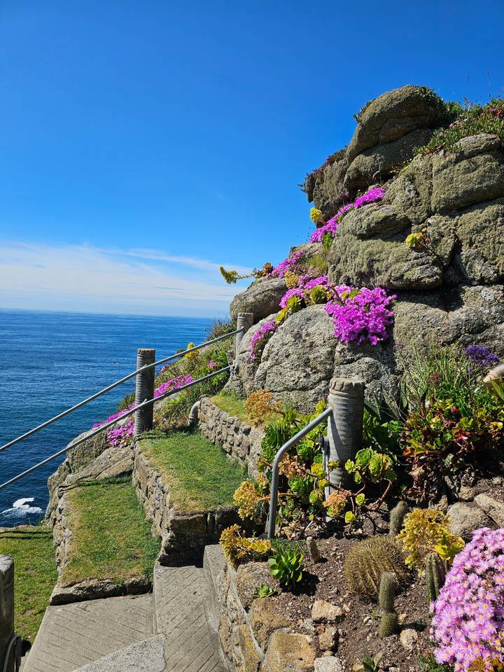 Pathway along a rocky coastline with flowers.