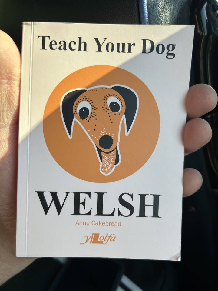 Couverture de livre avec une illustration de chien de bande dessinée.