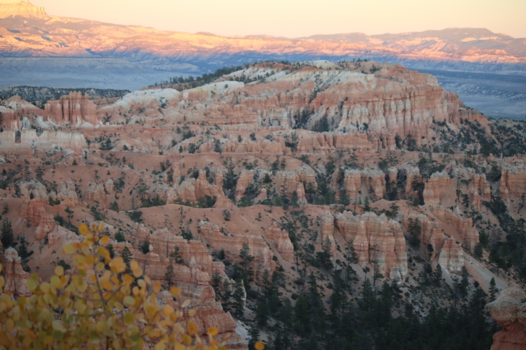 Un paysage de Bryce Canyon avec des formations rocheuses uniques.