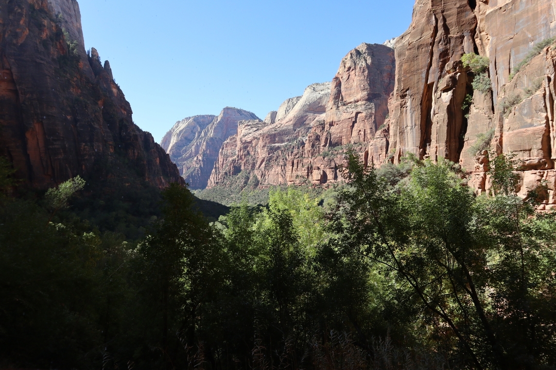 Vue panoramique d'un canyon avec de hautes falaises et une végétation verdoyante.