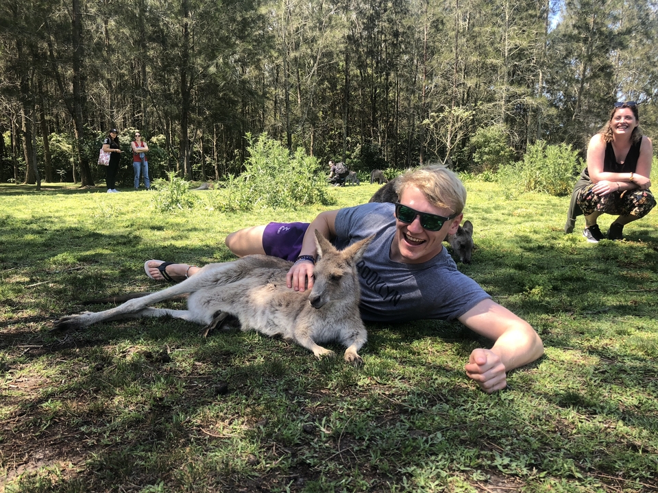 Person lying on the grass with a kangaroo.