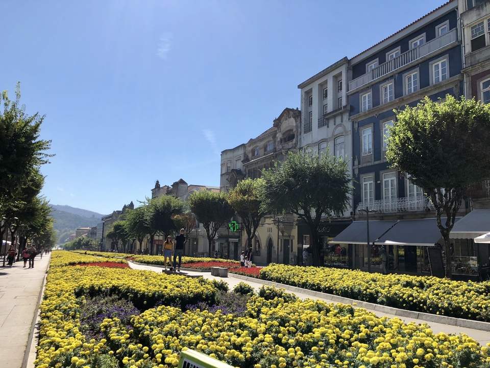 Une vue de rue dans une ville européenne avec des parterres de fleurs et des bâtiments élégants.