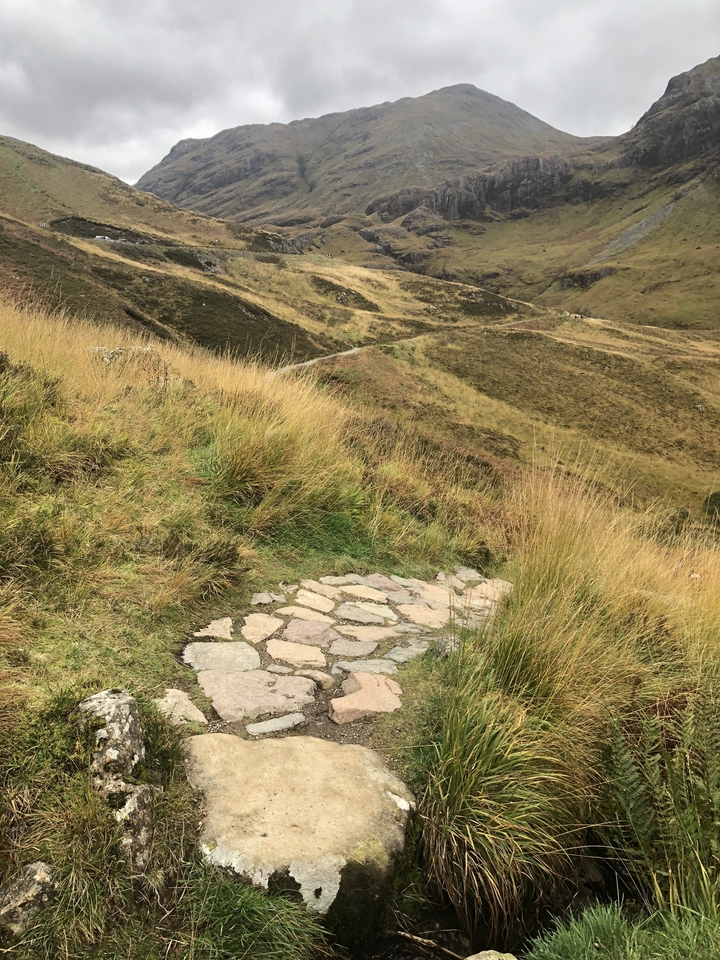 Sentier serpentant à travers des collines herbeuses.