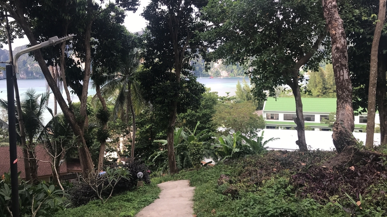 Sentier traversant une zone boisée avec une vue sur l'eau et des bâtiments.