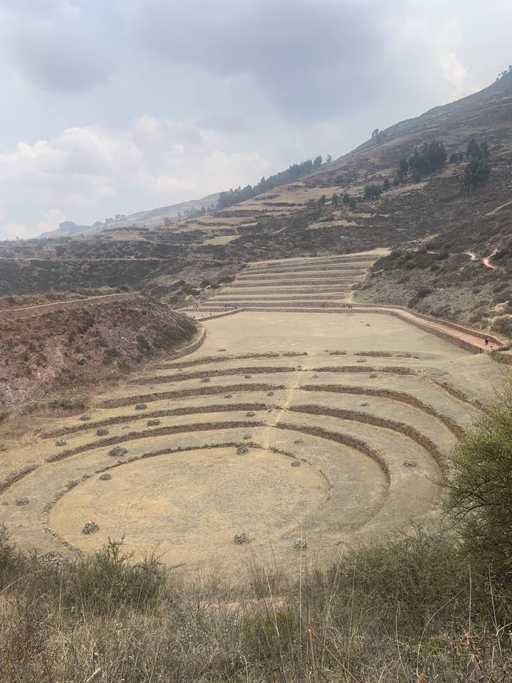 Champs en terrasses avec un design circulaire dans une zone montagneuse.