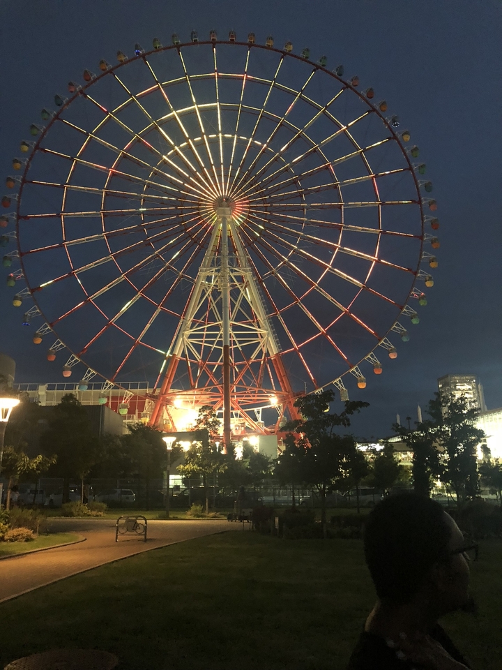 Grande roue illuminée la nuit dans un parc.