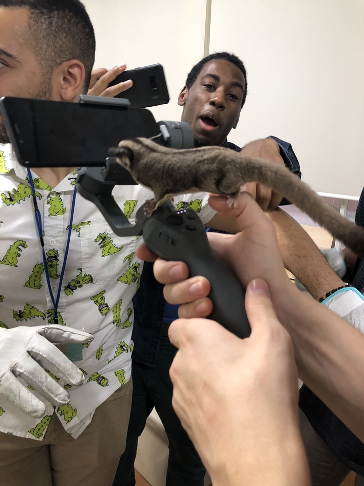 Personne tenant une manette de jeu avec un petit rongeur dessus.