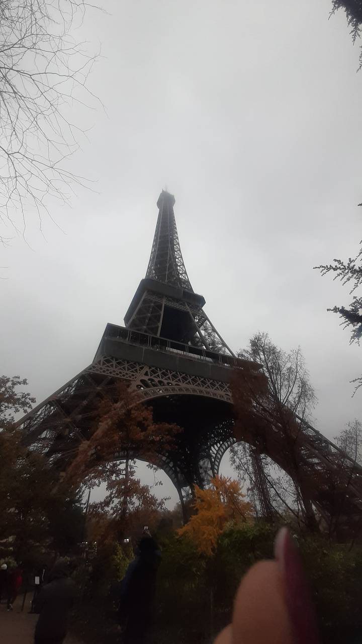 Tour Eiffel vue d'en bas avec ciel couvert et arbres.
