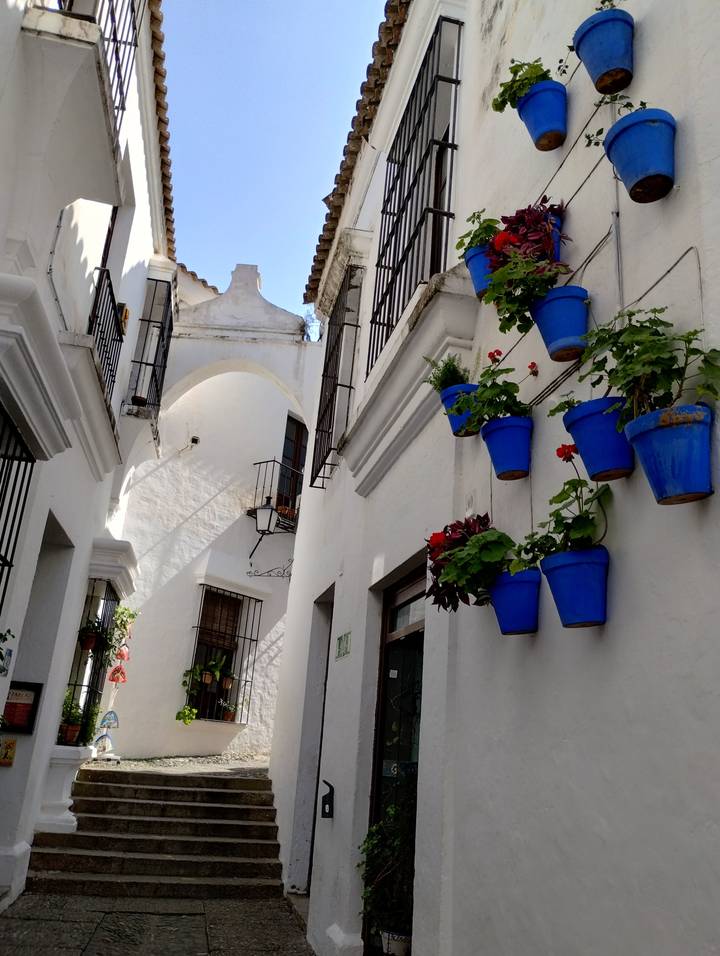 Rue étroite avec des bâtiments blancs et des pots de fleurs bleus.