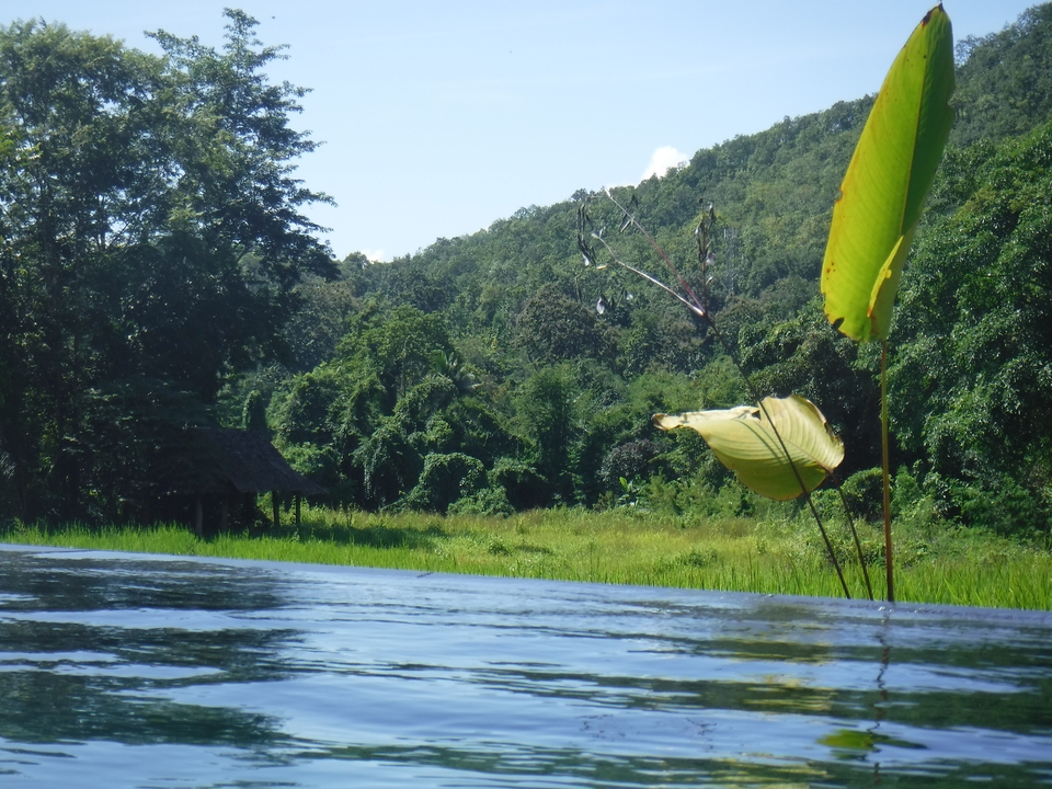 Vue de la nature avec de l'eau et une végétation luxuriante sous un ciel dégagé.