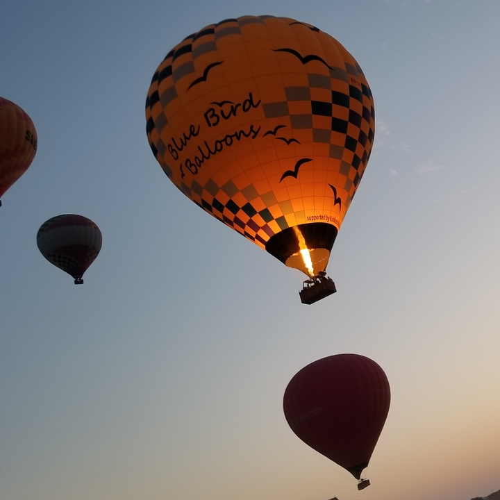 Montgolfières dans le ciel avec un arrière-plan bleu clair.