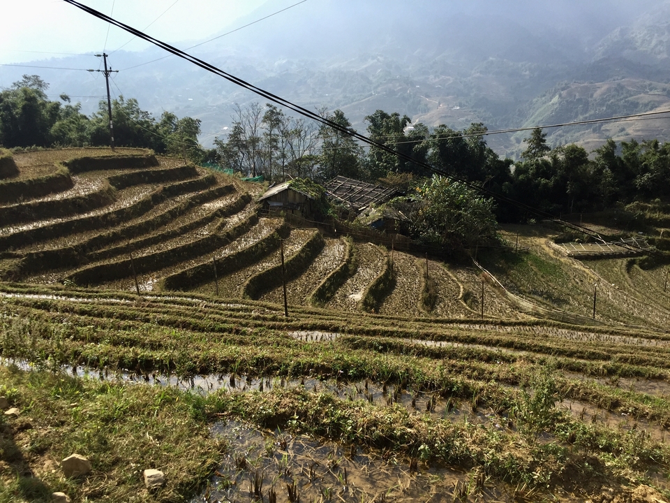 Rizières en terrasses avec l'eau qui reflète le ciel.