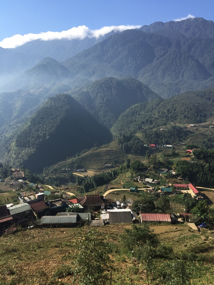 Vue aérienne de collines verdoyantes avec des rizières en terrasses.