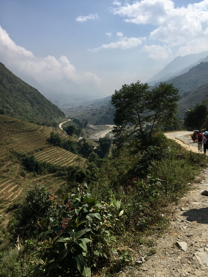 Vue panoramique de champs en terrasses avec des gens qui marchent.