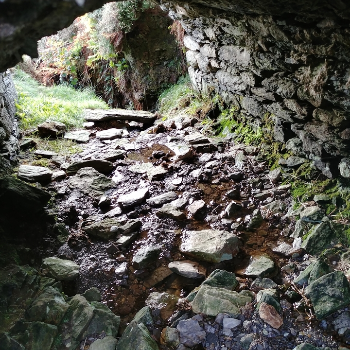 Ruisseau rocheux avec des pierres moussues et de la verdure.