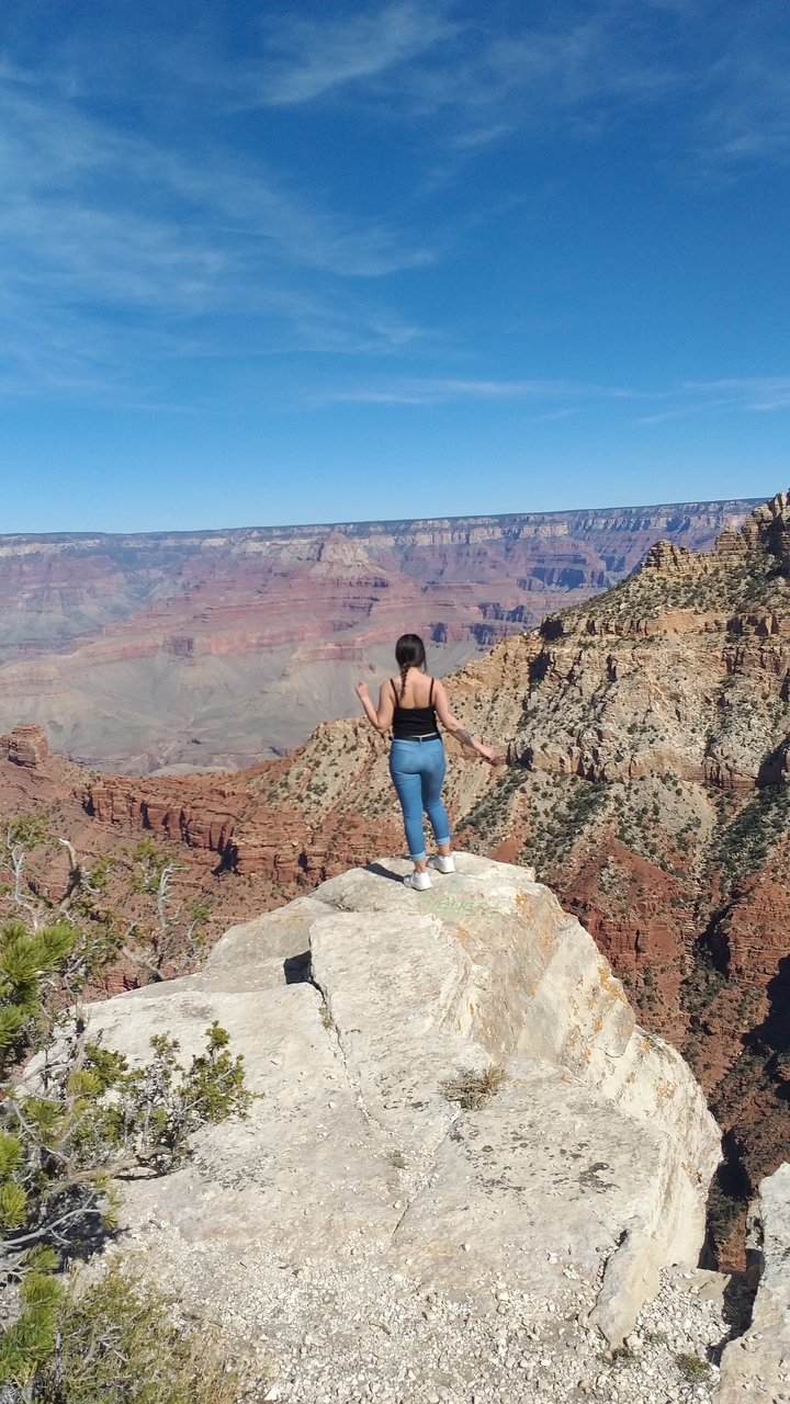 Personne debout au bord surplombant le Grand Canyon.