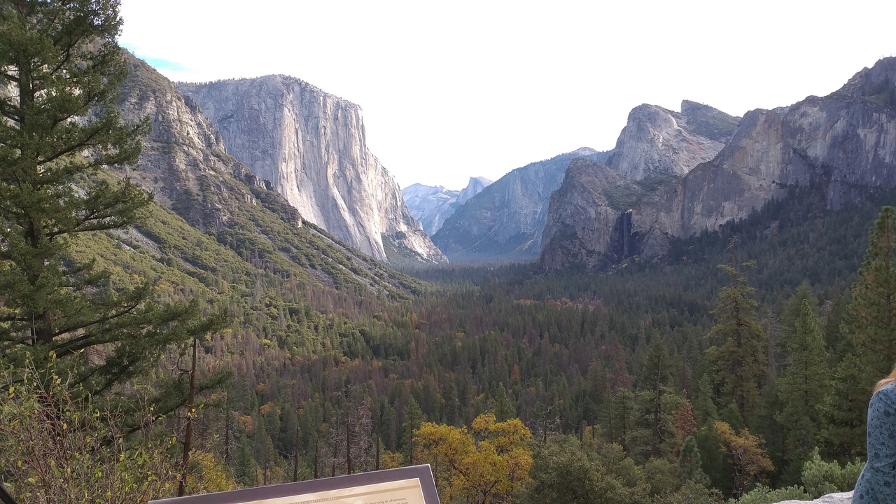 Vue de vallée avec montagnes et arbres dans le parc national de Yosemite.