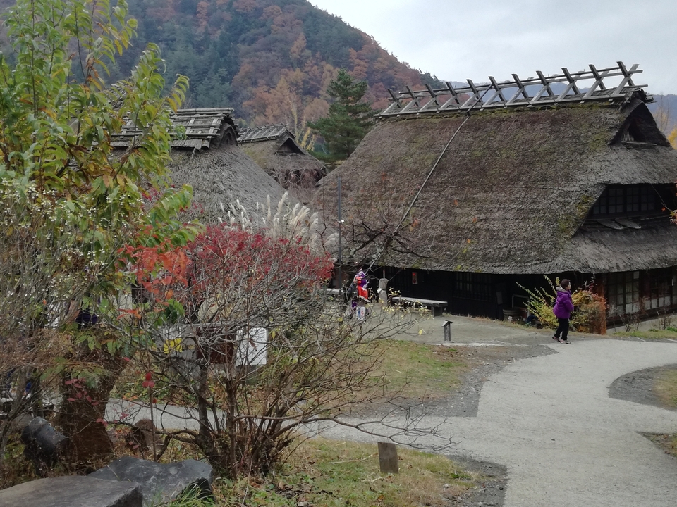 Maisons japonaises traditionnelles au toit de chaume avec des personnes marchant le long d'un sentier.