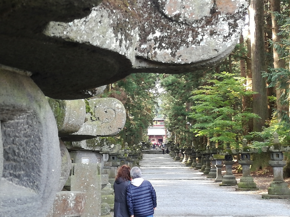 Un sentier bordé de lanternes en pierre dans une zone boisée.