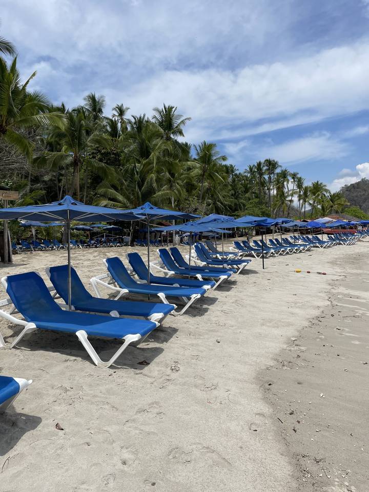 Row of blue beach chairs facing the ocean on a sandy beach.
