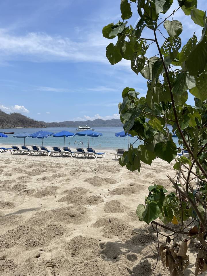 Sandy beach with umbrellas, chairs, and ocean view.