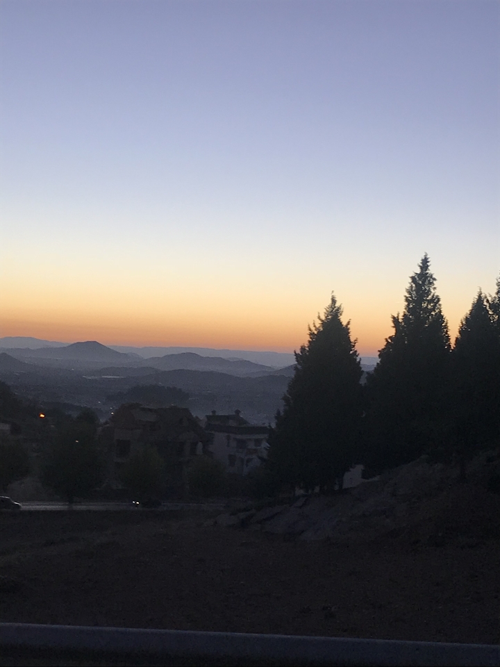 Trois arbres se découpent en silhouette contre un ciel de coucher de soleil avec des montagnes au loin.