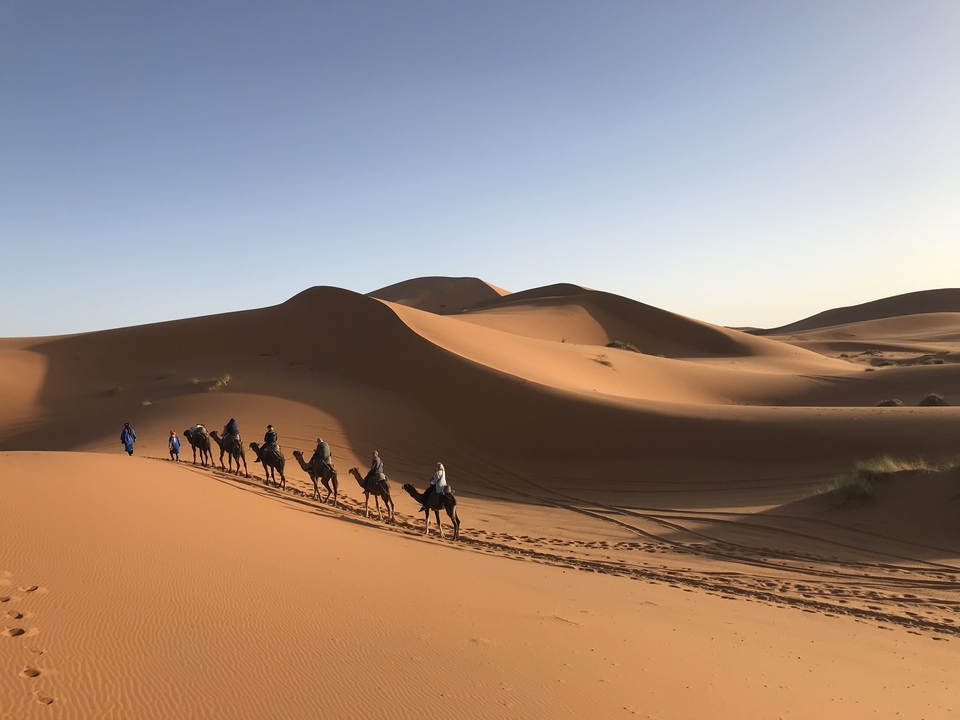 Caravane de chameaux traversant les dunes de sable dans le désert.