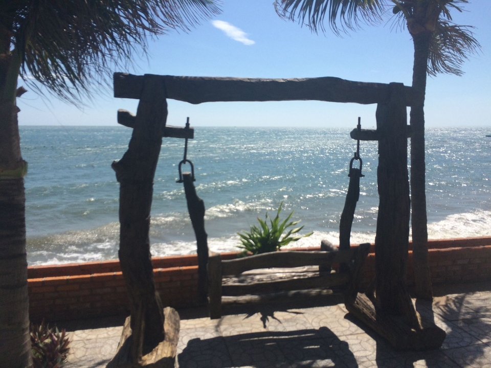 Balançoire en bois face à l'océan sous un ciel bleu dégagé.