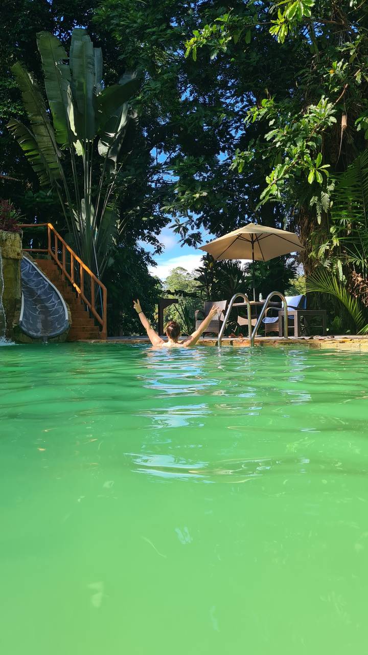 Person swimming in a green pool surrounded by trees.