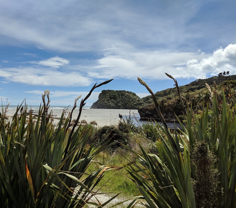 Vue côtière avec une anse sablonneuse et de la verdure.