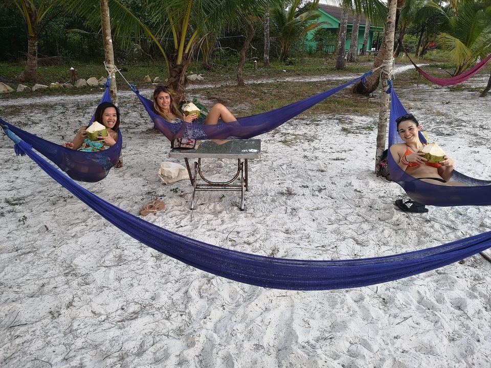 Des gens se détendent dans des hamacs sur une plage en dégustant des noix de coco.