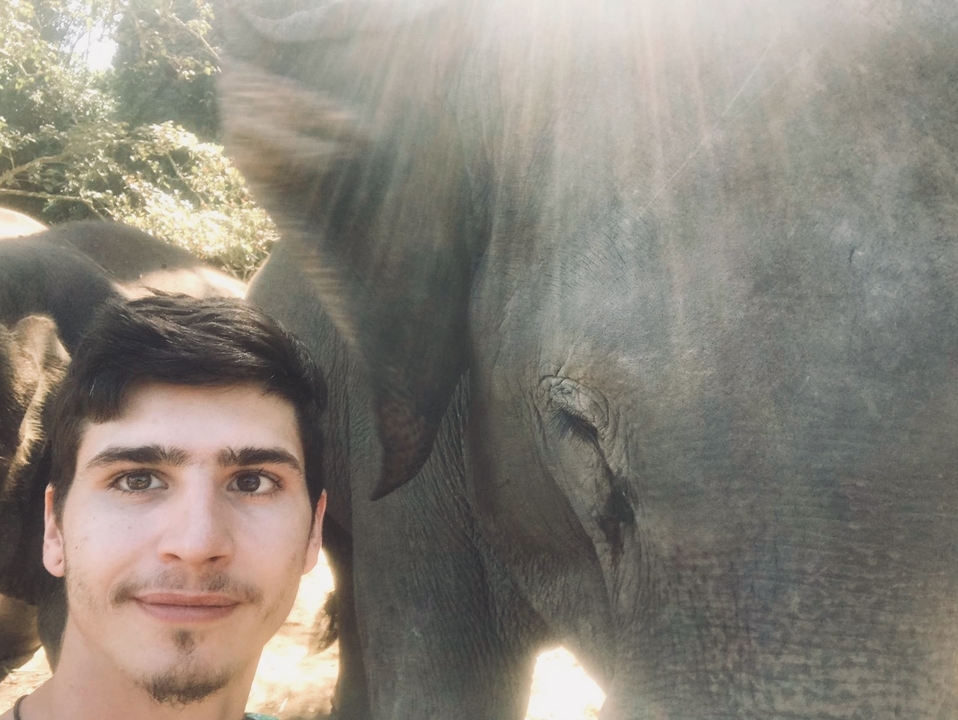 Selfie with a large elephant in a bright outdoor environment.