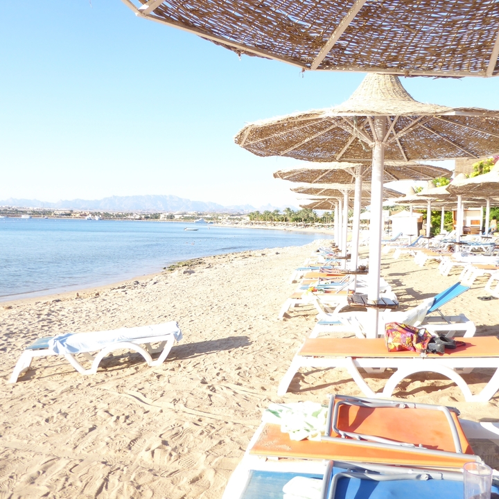 Plage avec parasols en paille et chaises longues vides.