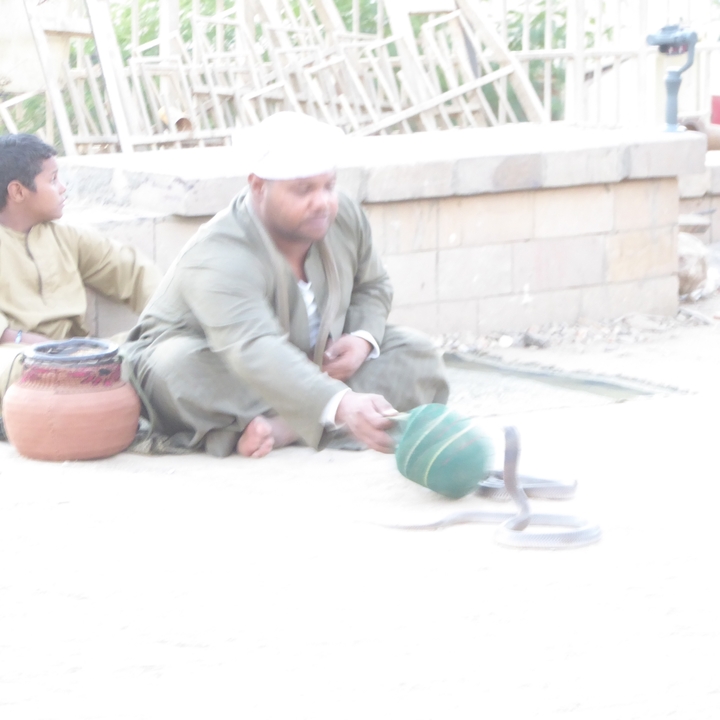 Image floue d'une personne manipulant un serpent