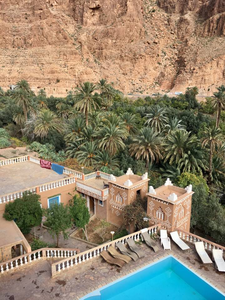 Traditional Moroccan architecture with palm trees in a lush garden.