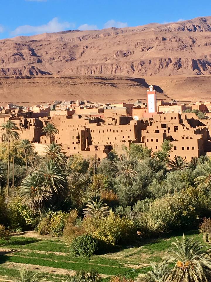 Adobe-style village with a mosque surrounded by palm trees.