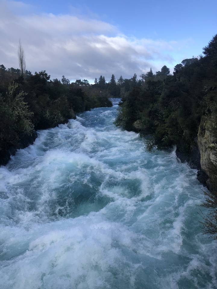 Rivière rapide coulant à travers une végétation luxuriante.