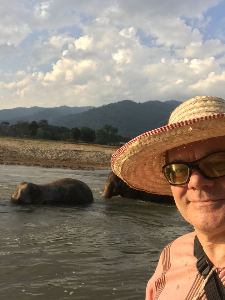 Personne avec un chapeau de paille et des éléphants dans une rivière