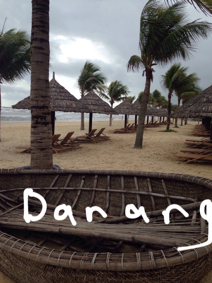 Une plage avec des palmiers et des chaises longues vides.