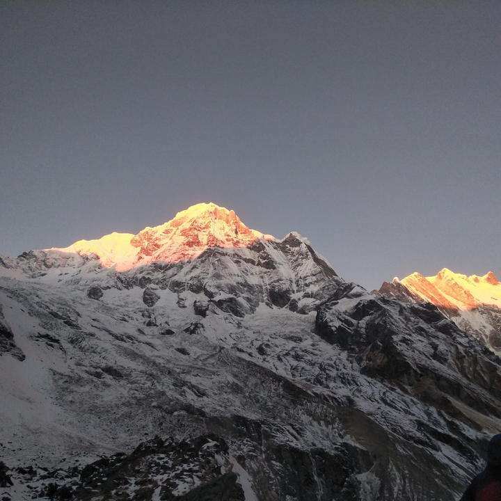Snow-covered Himalayan summit bathed in golden-pink dawn light beneath a clear grey sky.