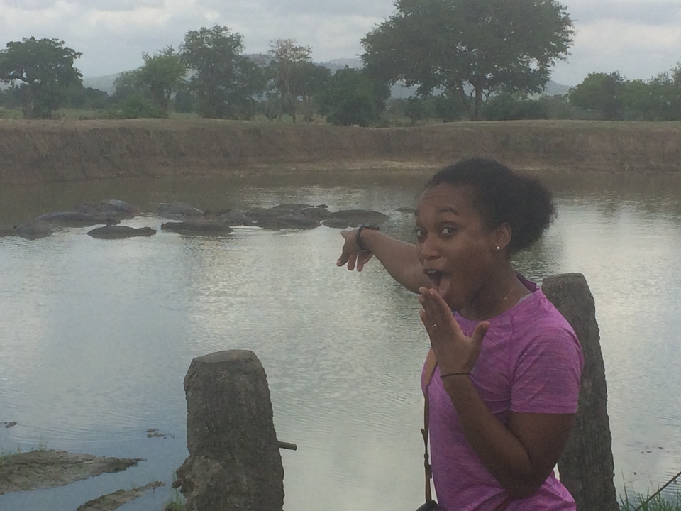 Personne pointant avec enthousiasme vers des hippopotames dans un étang.