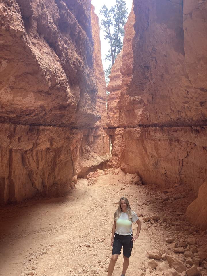 Person standing in a red rock canyon.