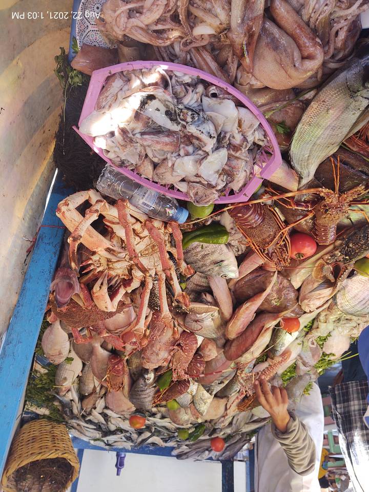 Tas de fruits de mer assortis comprenant poissons et crustacés.