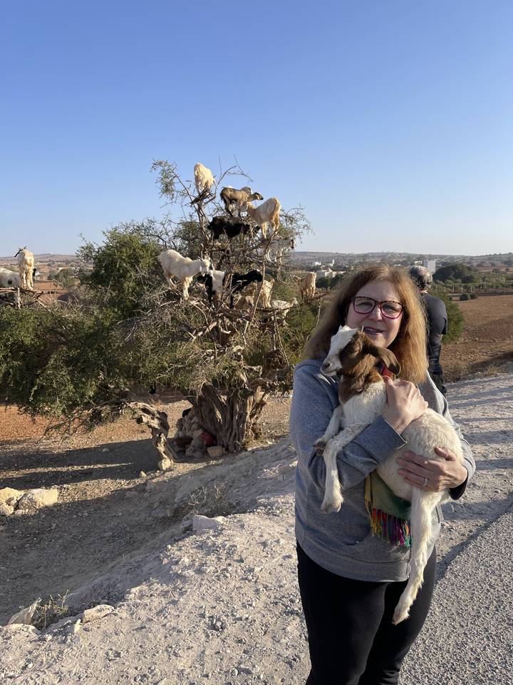 Personne tenant des chèvres avec plus de chèvres dans un arbre.
