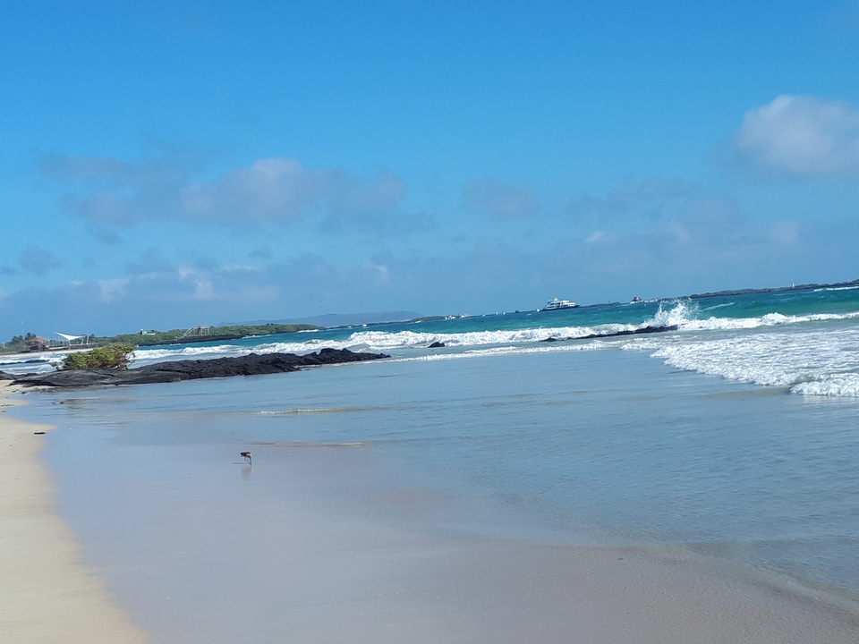 Une vue sereine de plage avec des vagues et un ciel dégagé.