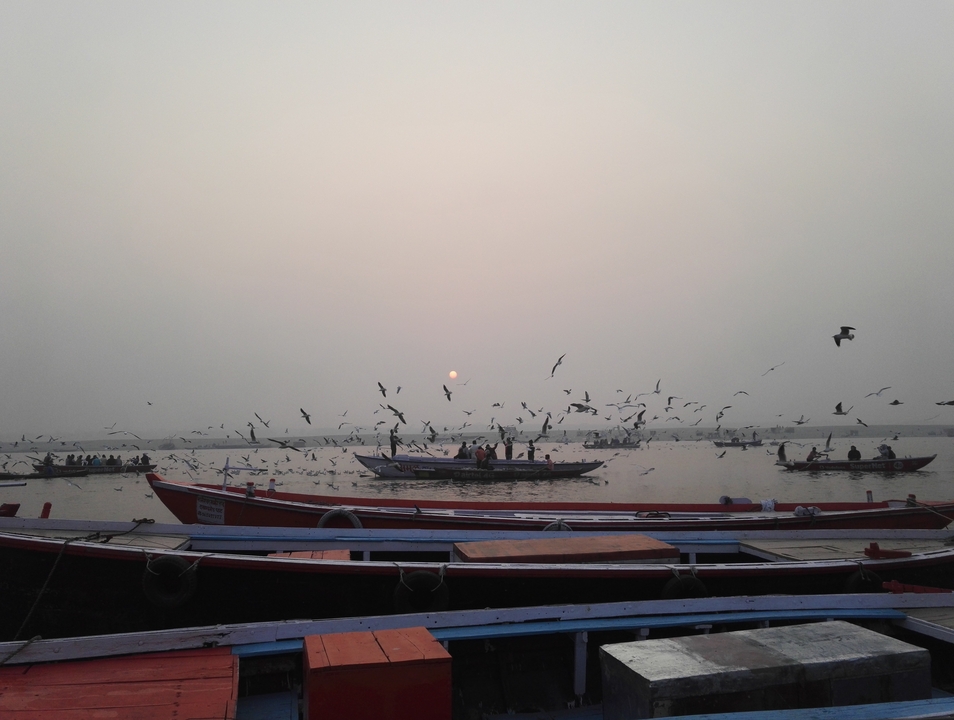Des oiseaux volant au-dessus de bateaux pendant le coucher de soleil sur une rivière.